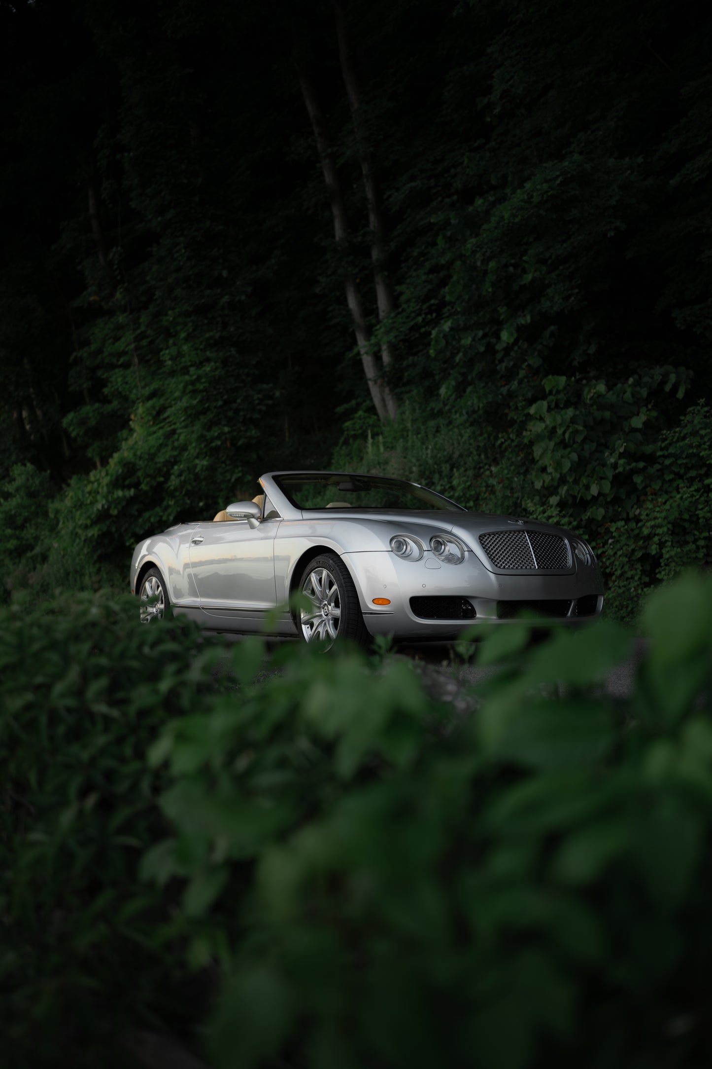 Bentley Continental GTC